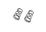 Side spring 6,5lbs S120L (2) (SER411212)