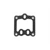 Caster plate carbon F110 SF4 (SER411425)