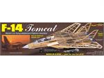 F-14 Tomcat