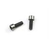 Steering mount screw 4-X (2) (SER401691)